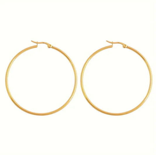 "Kimba" Stainless Steel Hoops