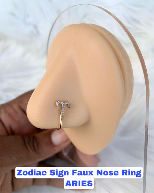 "Aries" Faux Nose Rings