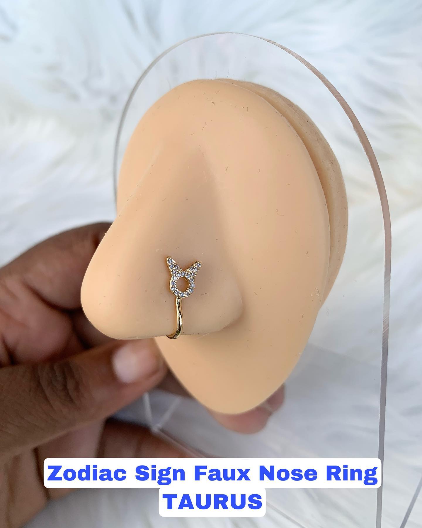 Faux Nose Ring